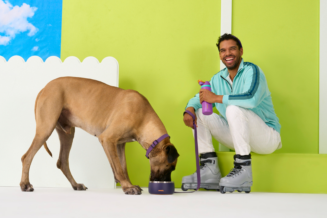 Large dog drinks from Owala pet bowl next to its owner