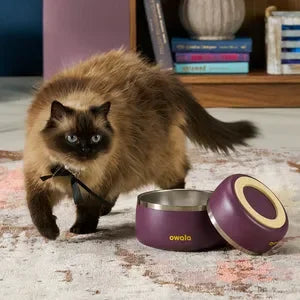 Customize Your Owala Pet Bowl – Personalized Stainless-Steel Water Bowl for Pets